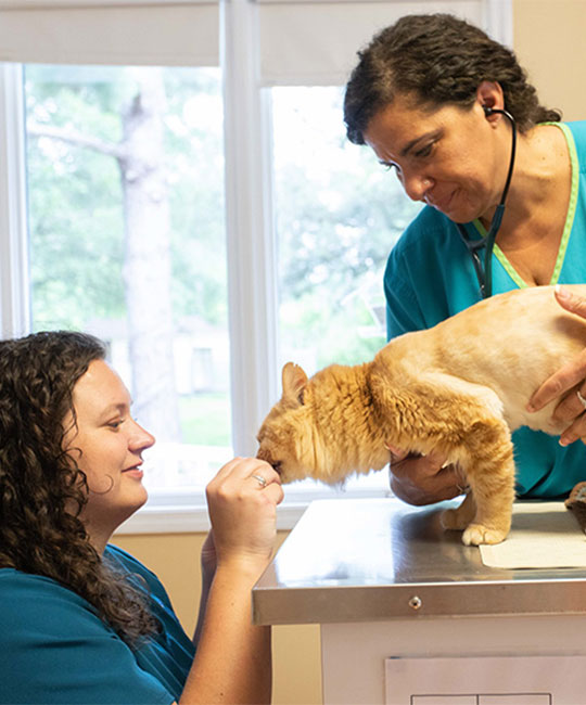 Welcome to the River Road Family